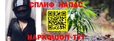 дживик Ачхой-Мартан