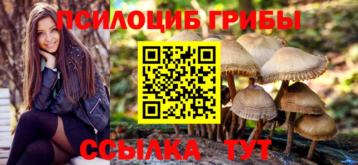 Псилоцибиновые грибы GOLDEN TEACHER Большой Камень