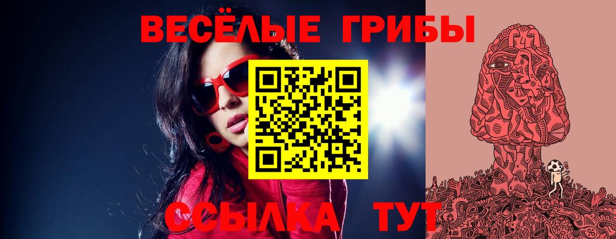 Псилоцибиновые грибы прущие грибы  Вход с VPN  Галлюциногенные грибы ЛСД  Большой Камень 